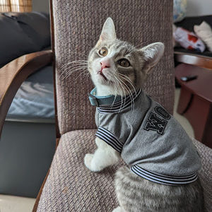 Meet your Posher, Valentina